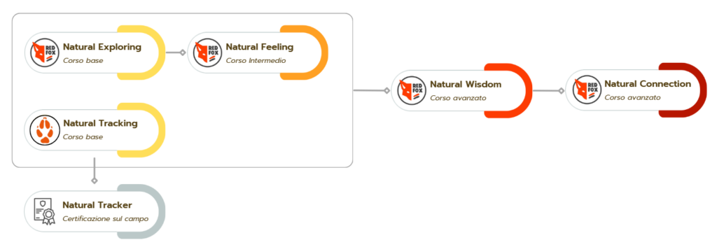 natural survival desktop2