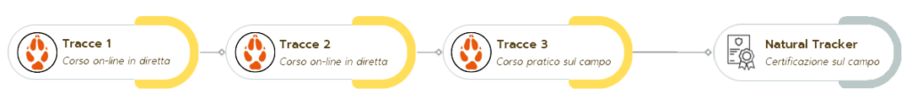 natural tracking desktop2