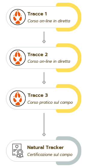natural tracking mobile2