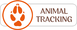 Animal Tracking